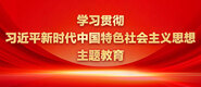 插逼呦女网学习贯彻习近平新时代中国特色社会主义思想主题教育_fororder_ad-371X160(2)